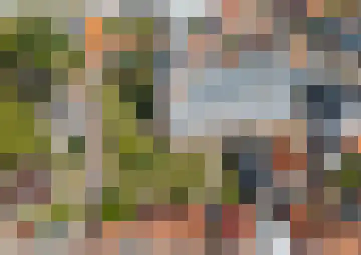 Oudestraat 20 Sint-Maartensdijk thumbnail 6