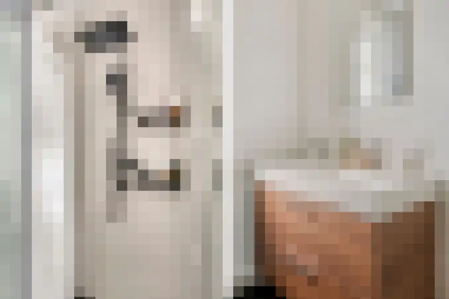 Oudestraat 21 Sprang-Capelle thumbnail 17