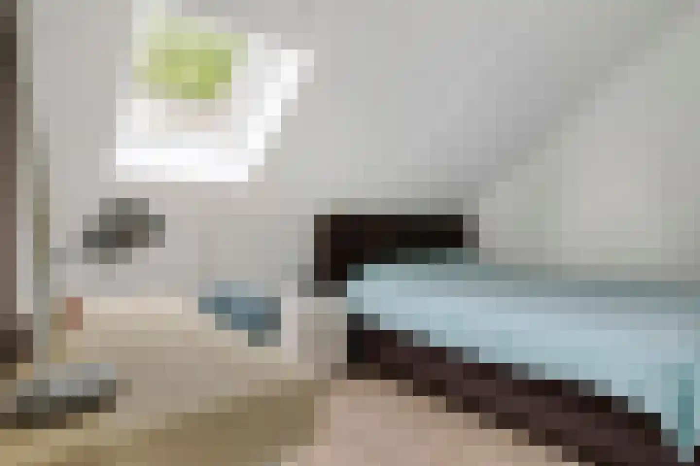 Oudestraat 21 Sprang-Capelle thumbnail 21