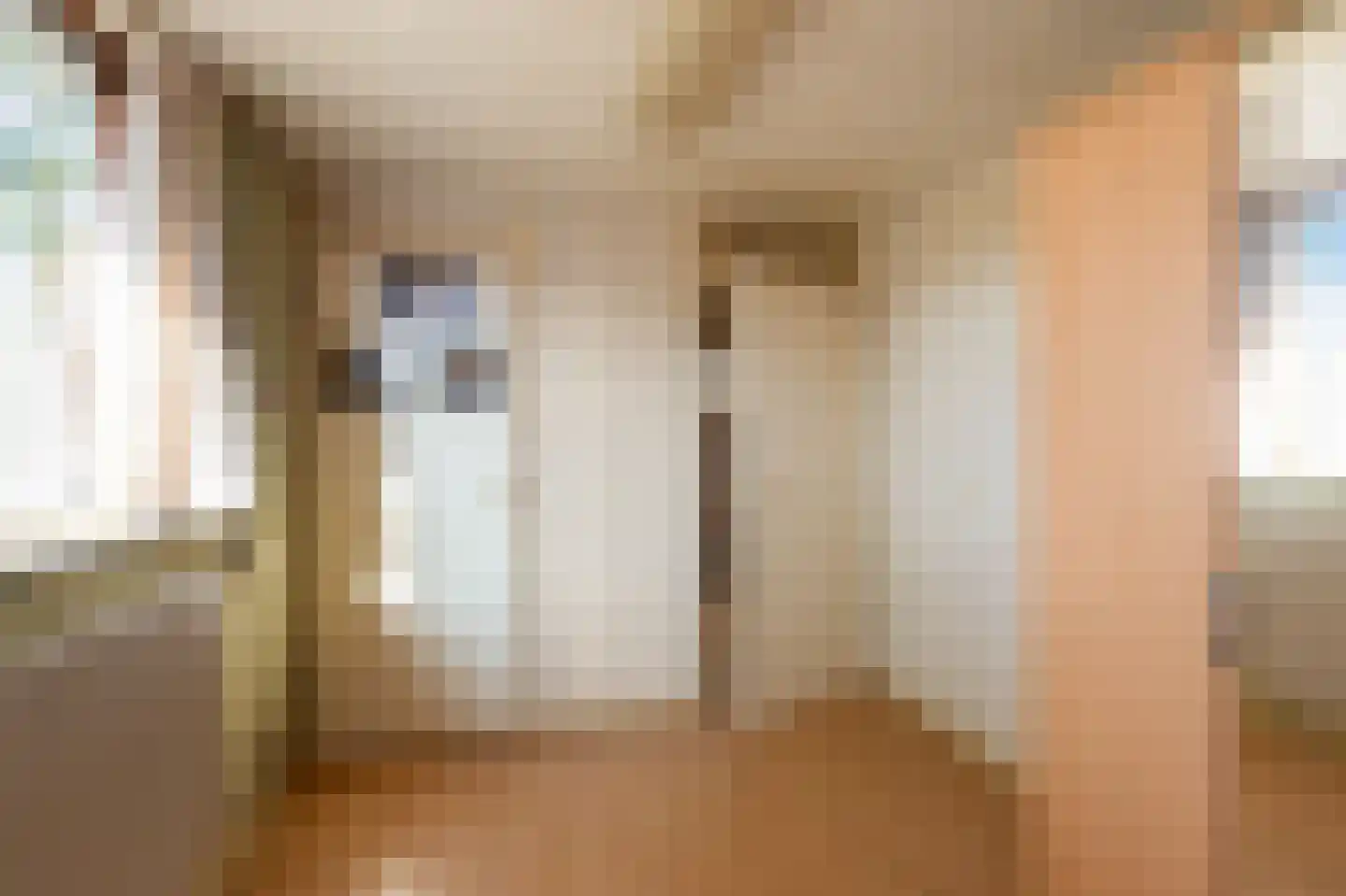 Oudestraat 21 Sprang-Capelle thumbnail 25