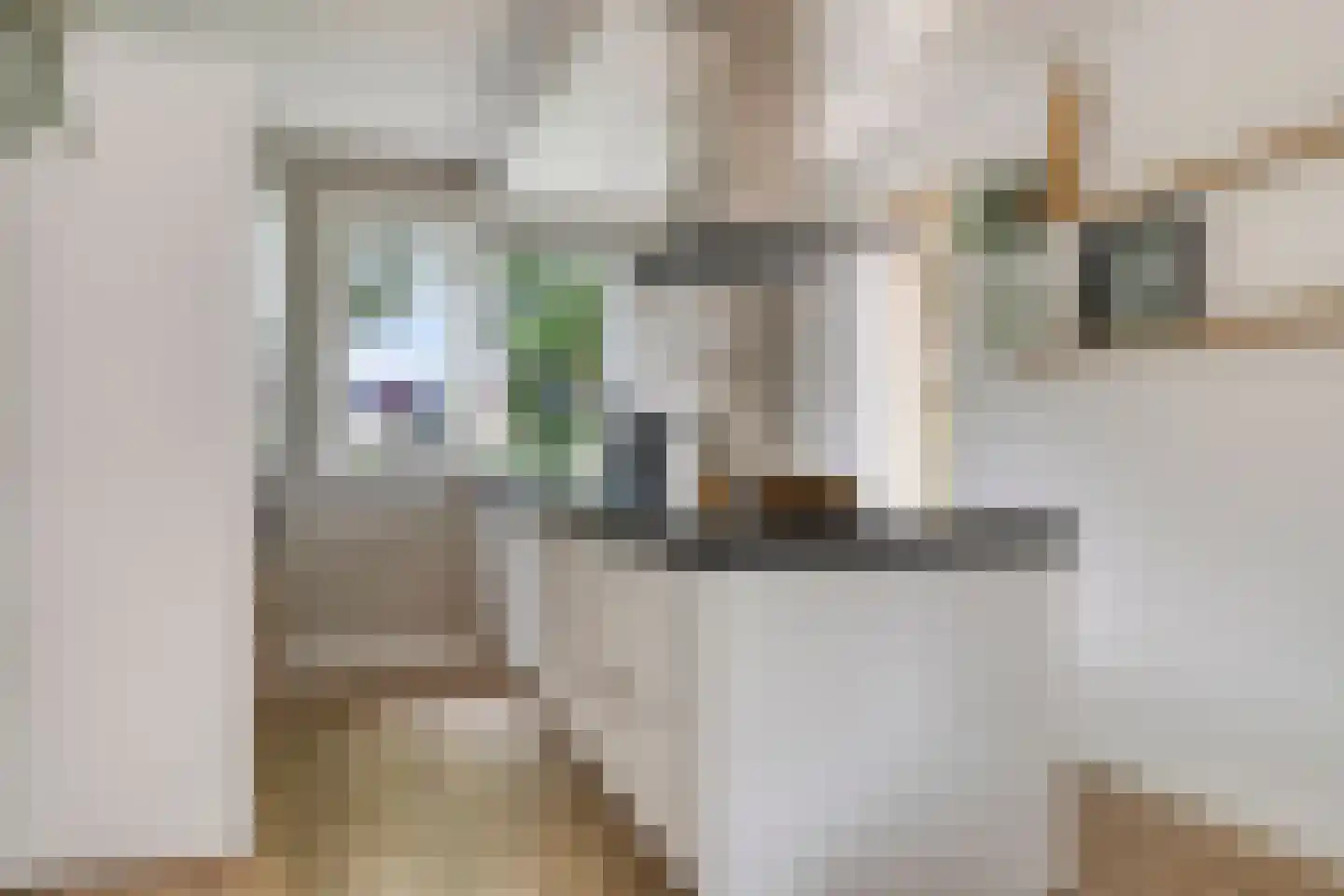 Oudestraat 21 Sprang-Capelle thumbnail 4