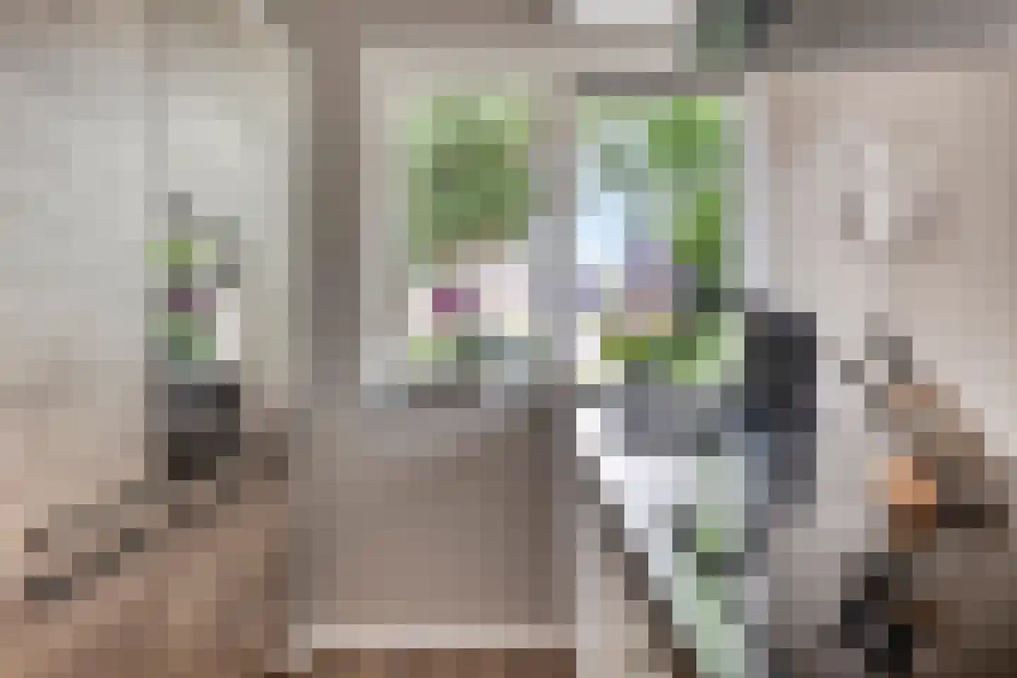 Oudestraat 21 Sprang-Capelle thumbnail 9