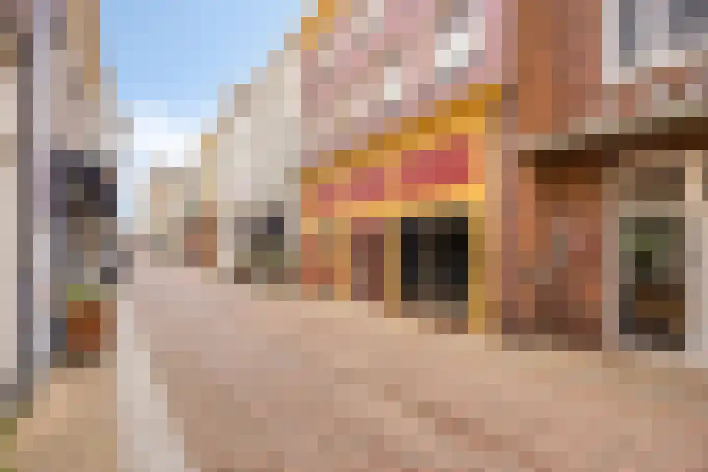 Oudestraat 210 Kampen thumbnail 8