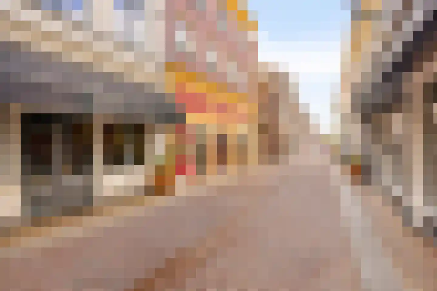 Oudestraat 210 Kampen thumbnail 9