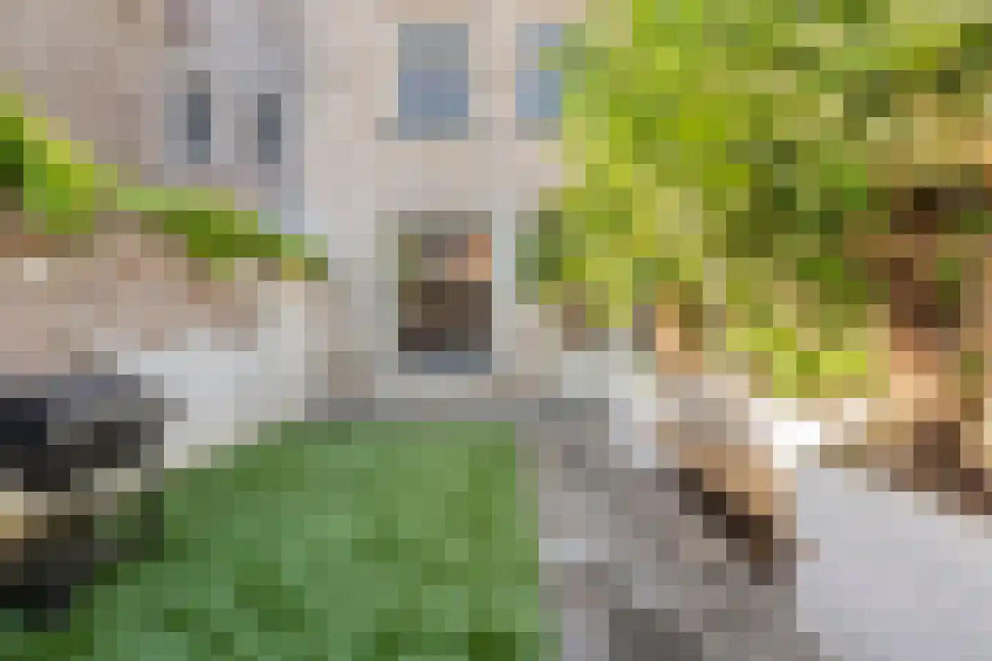 Oudestraat 217 01 Kampen thumbnail 29