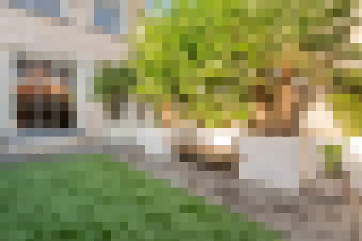 Oudestraat 217 01 Kampen thumbnail 30