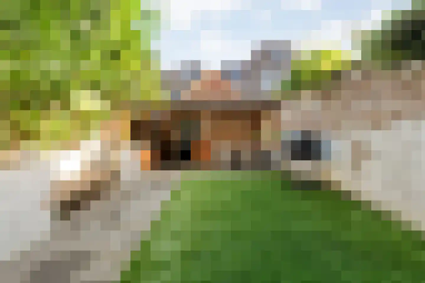 Oudestraat 217 01 Kampen thumbnail 31