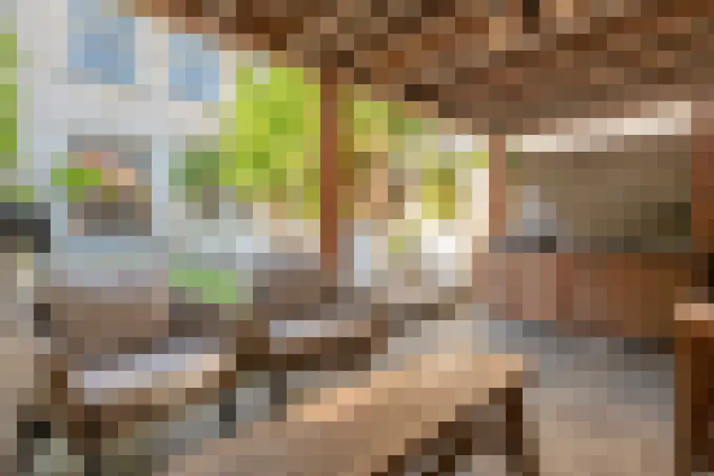 Oudestraat 217 01 Kampen thumbnail 34