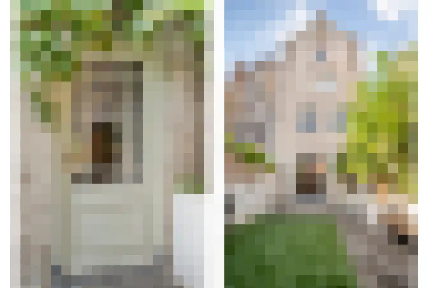 Oudestraat 217 01 Kampen thumbnail 4