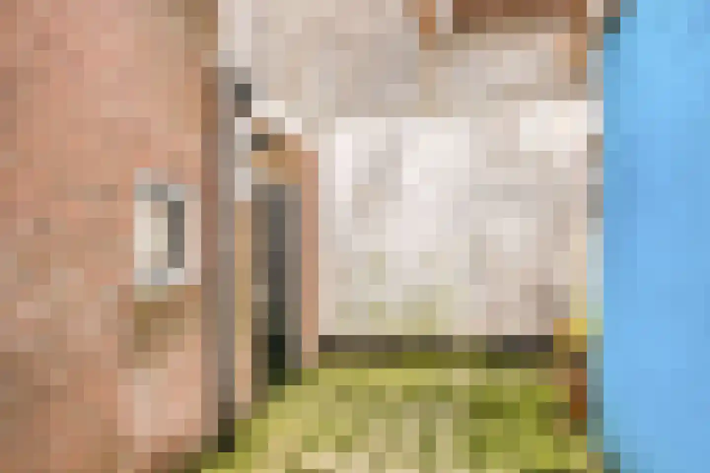 Oudestraat 248 Kampen thumbnail 20