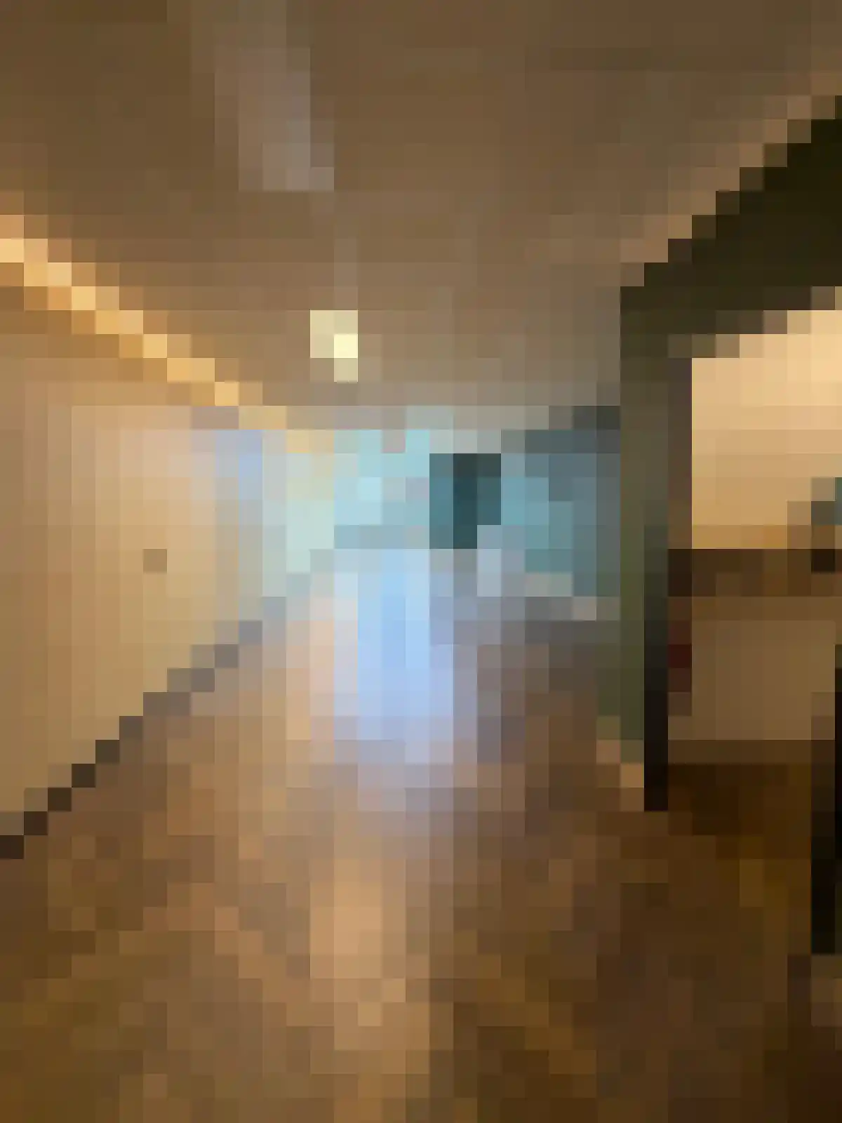 Oudestraat 256 Kampen thumbnail 5