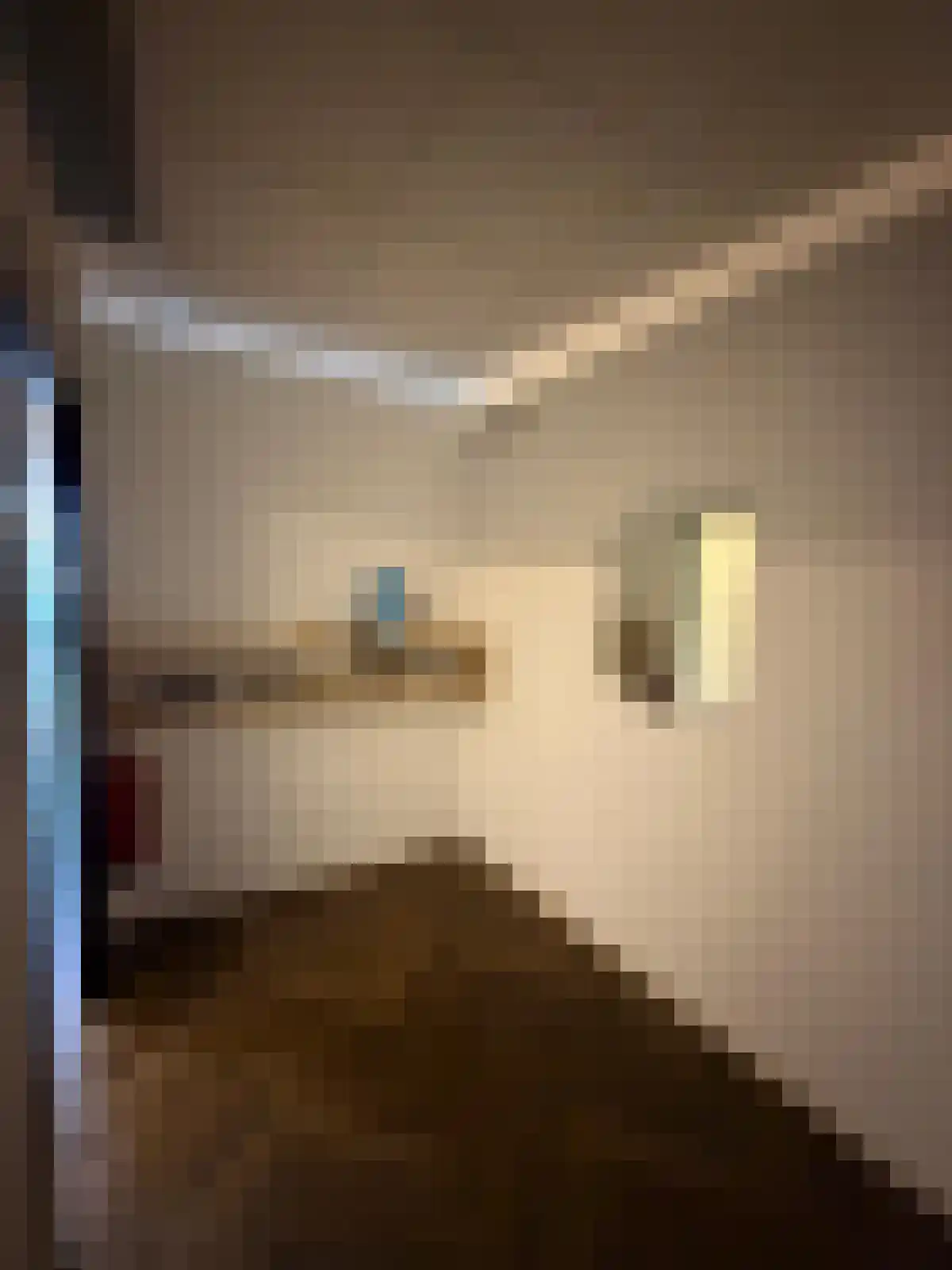 Oudestraat 256 Kampen thumbnail 7
