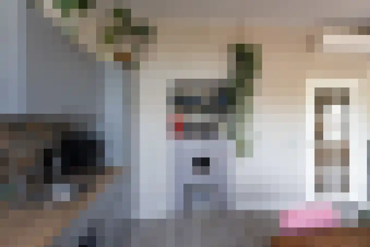 Oudestraat 28 Neede thumbnail 29