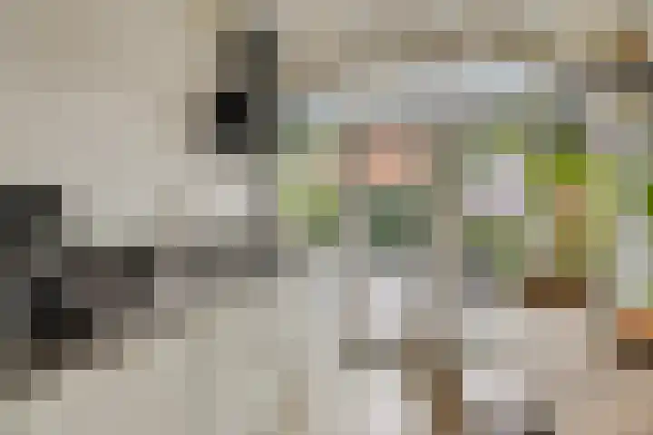 Oudestraat 31 Veere thumbnail 12