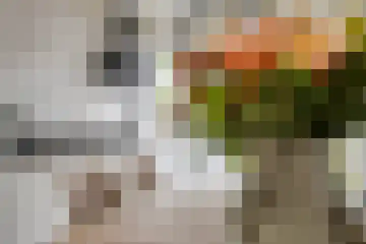 Oudestraat 31 Veere thumbnail 13