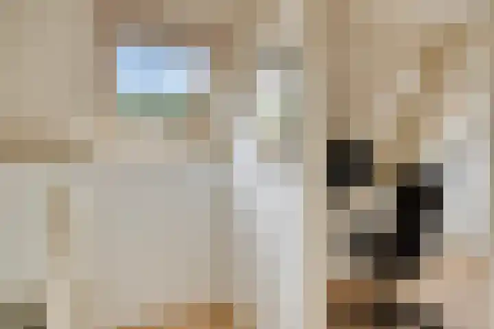 Oudestraat 31 Veere thumbnail 19