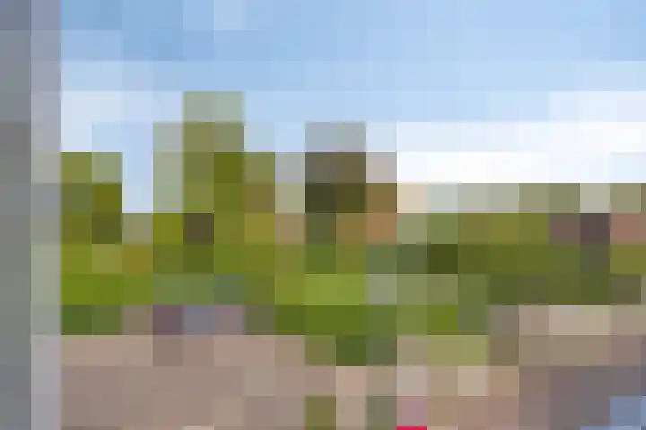 Oudestraat 31 Veere thumbnail 22