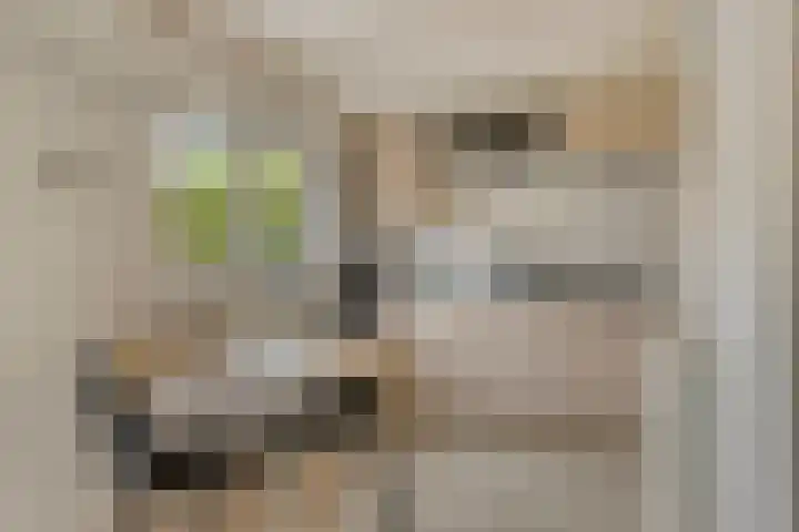 Oudestraat 31 Veere thumbnail 32