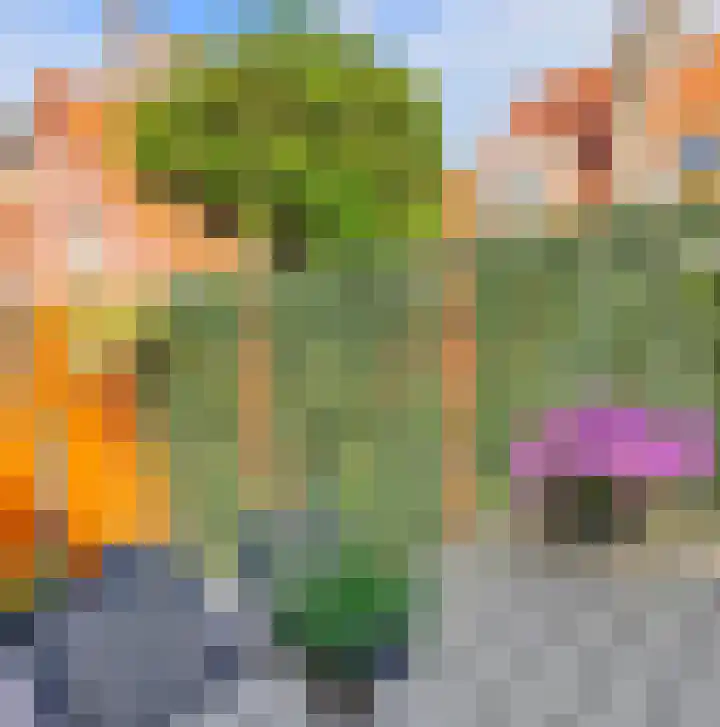 Oudestraat 31 Veere thumbnail 37