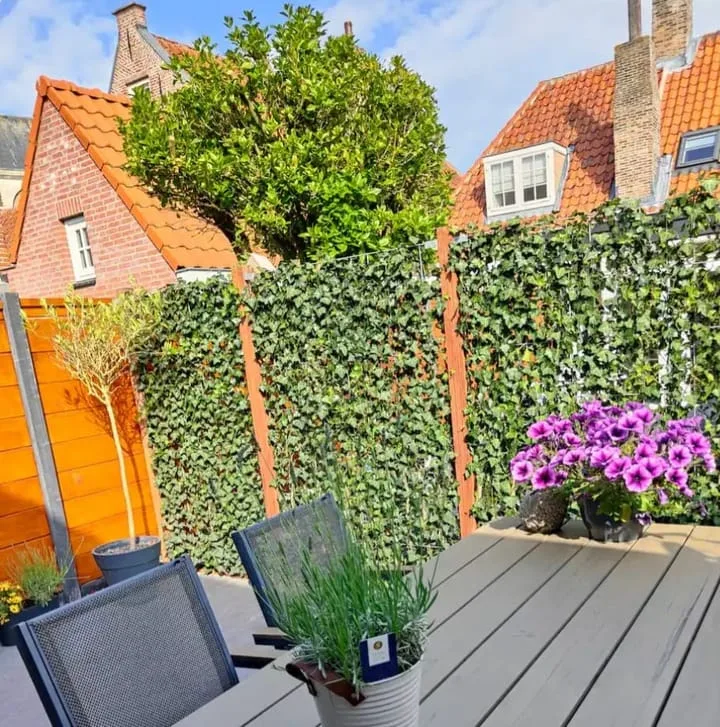 Oudestraat 31 Veere thumbnail 37