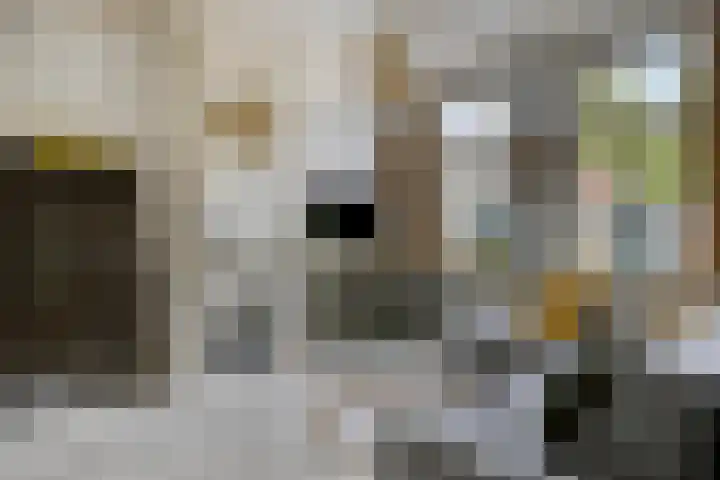 Oudestraat 31 Veere thumbnail 8