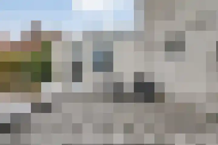 Oudestraat 37 I Kampen thumbnail 4
