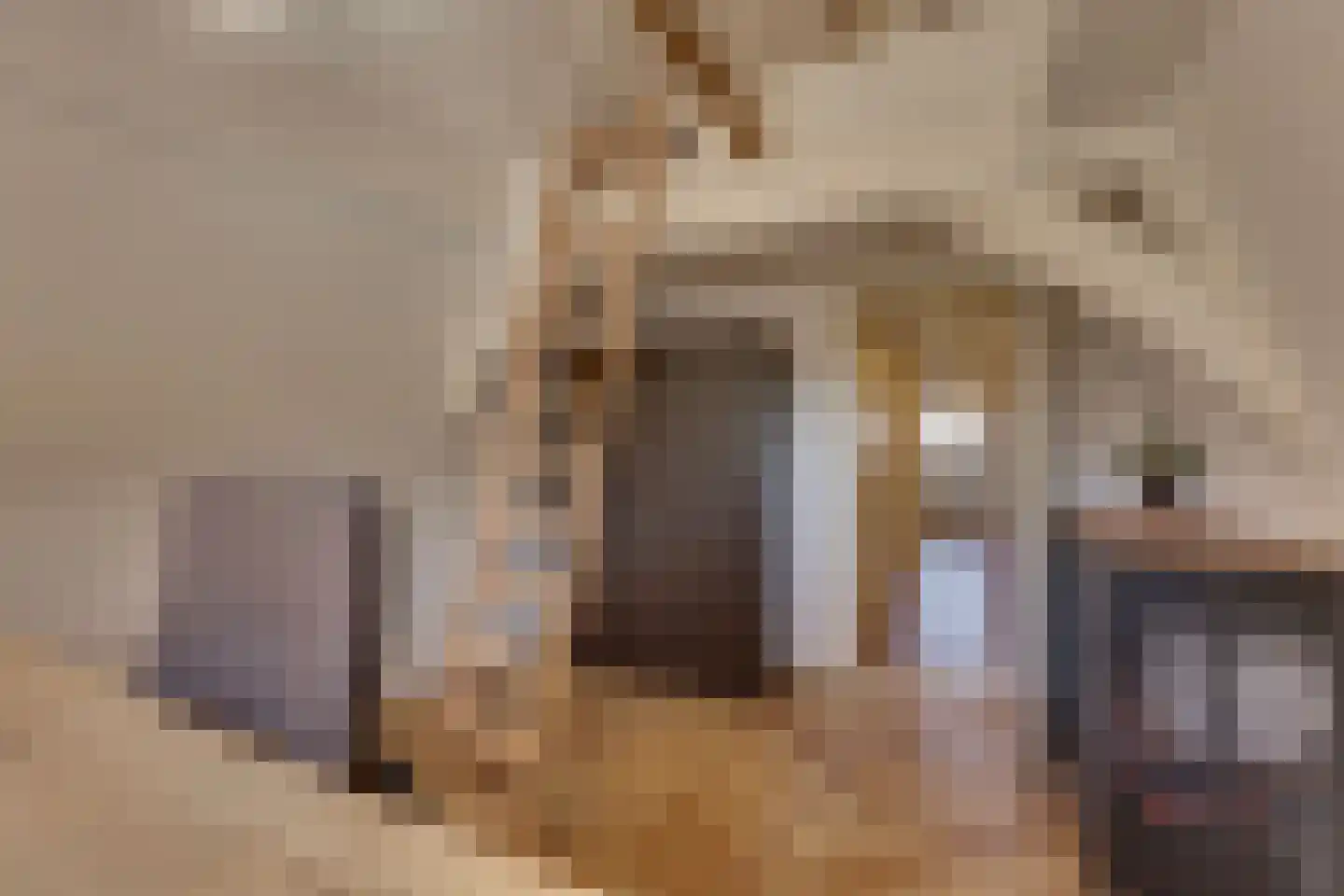 Oudestraat 53 I Kampen thumbnail 25