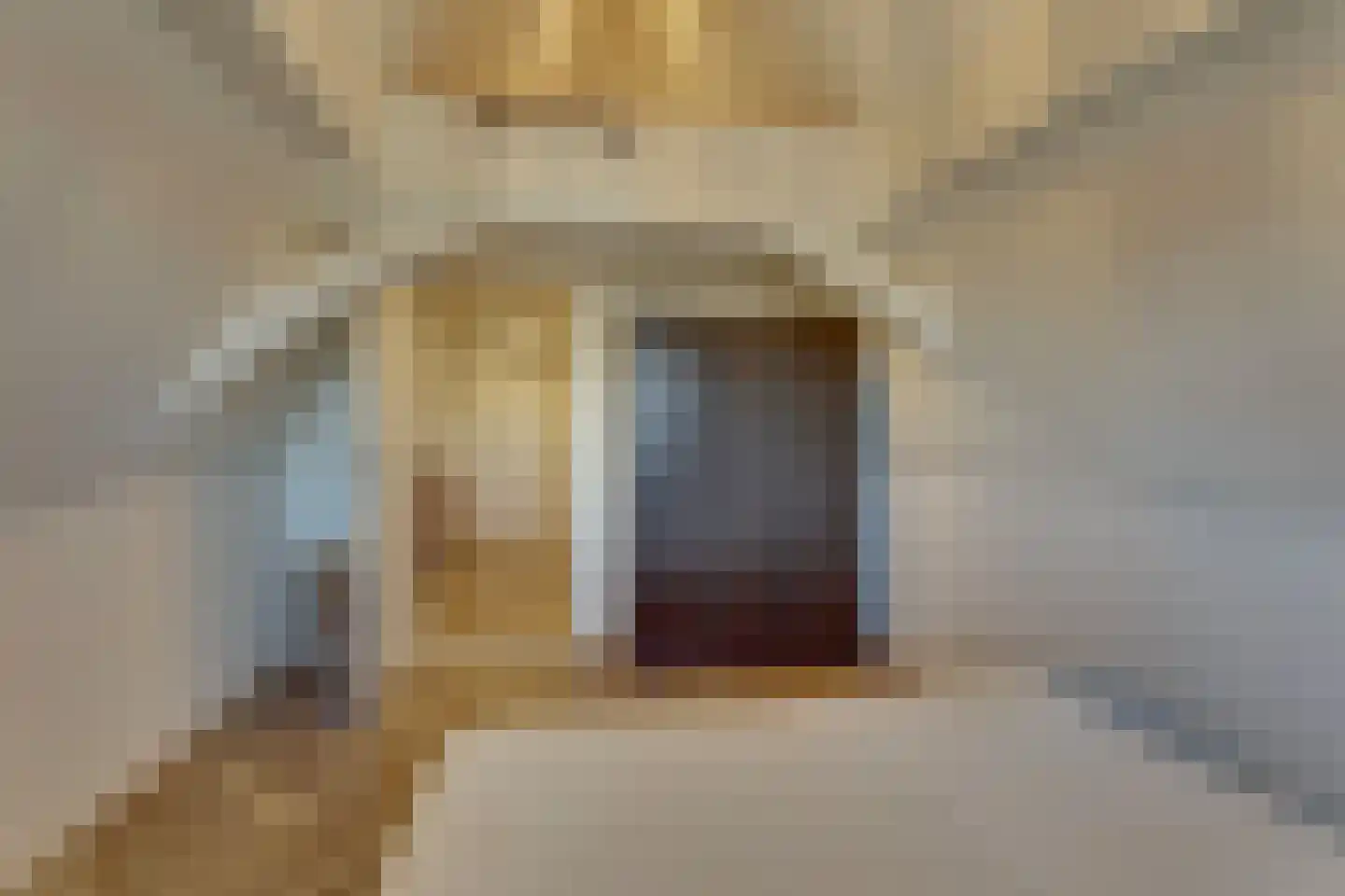 Oudestraat 53 I Kampen thumbnail 31