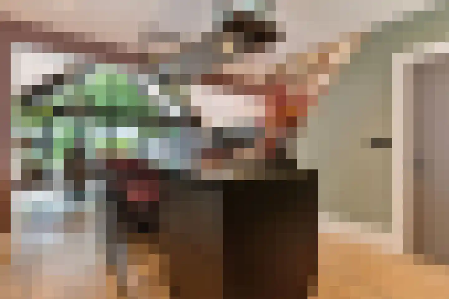 Oudestraat 61 Gemert thumbnail 12