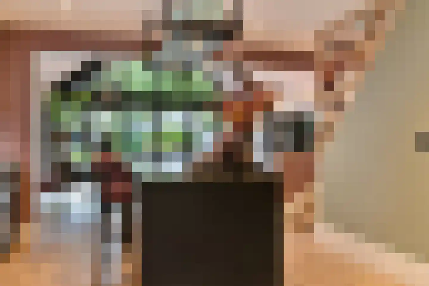 Oudestraat 61 Gemert thumbnail 13