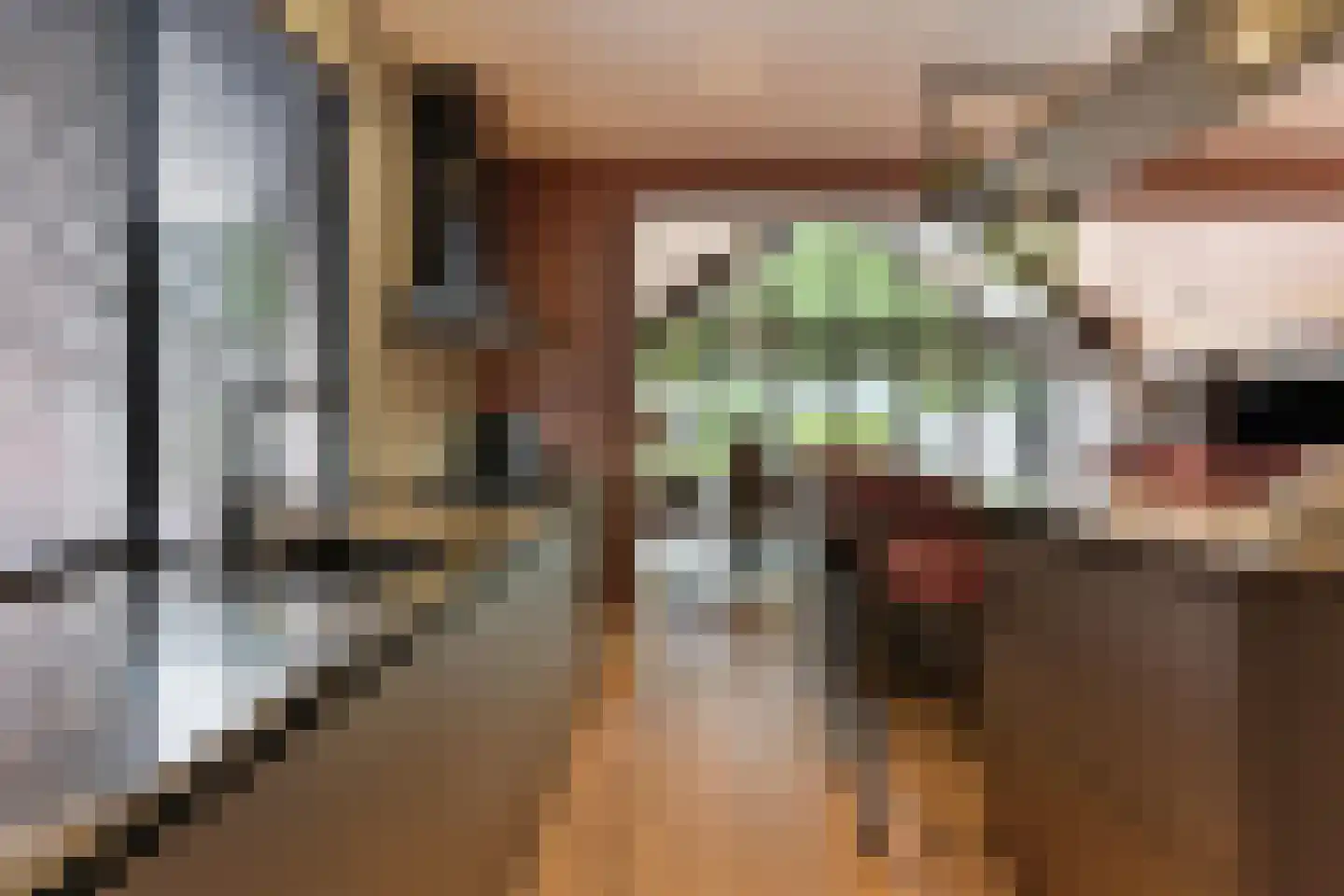 Oudestraat 61 Gemert thumbnail 15