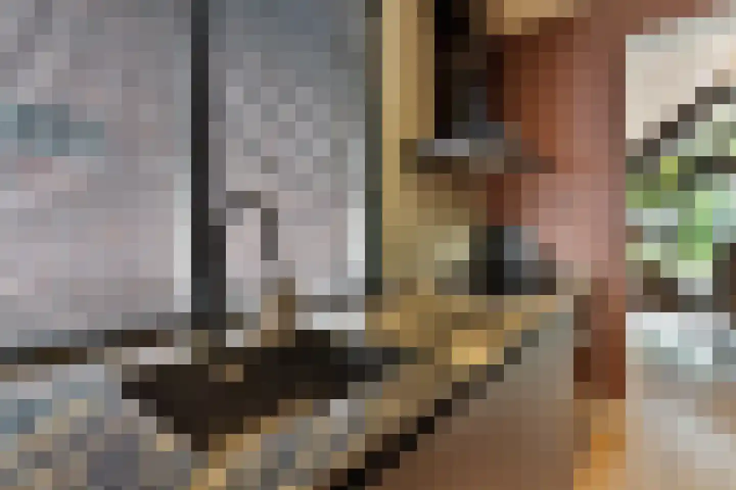 Oudestraat 61 Gemert thumbnail 16