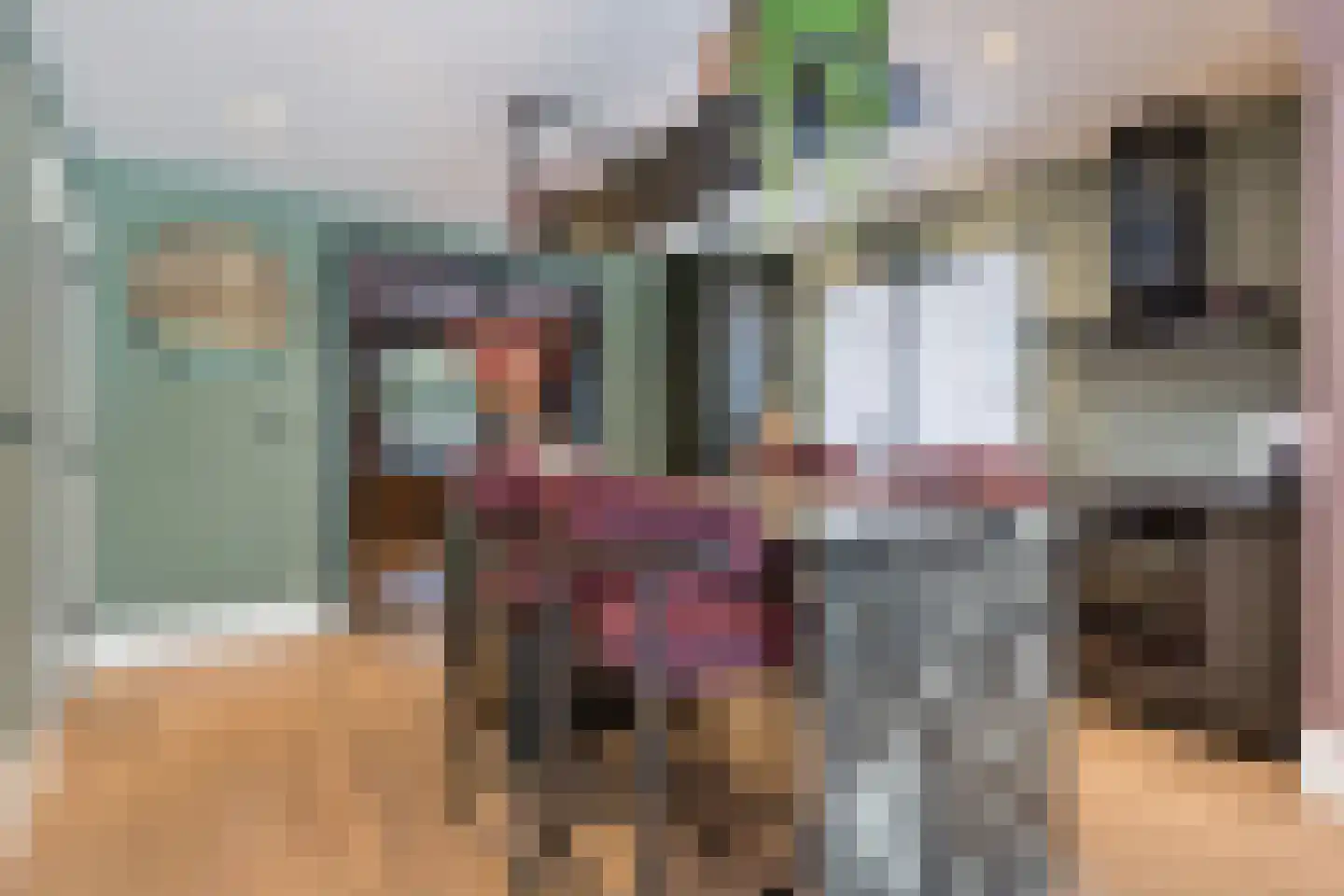 Oudestraat 61 Gemert thumbnail 17