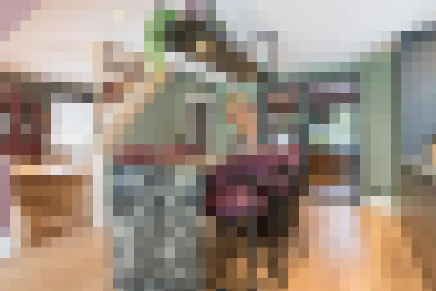 Oudestraat 61 Gemert thumbnail 19