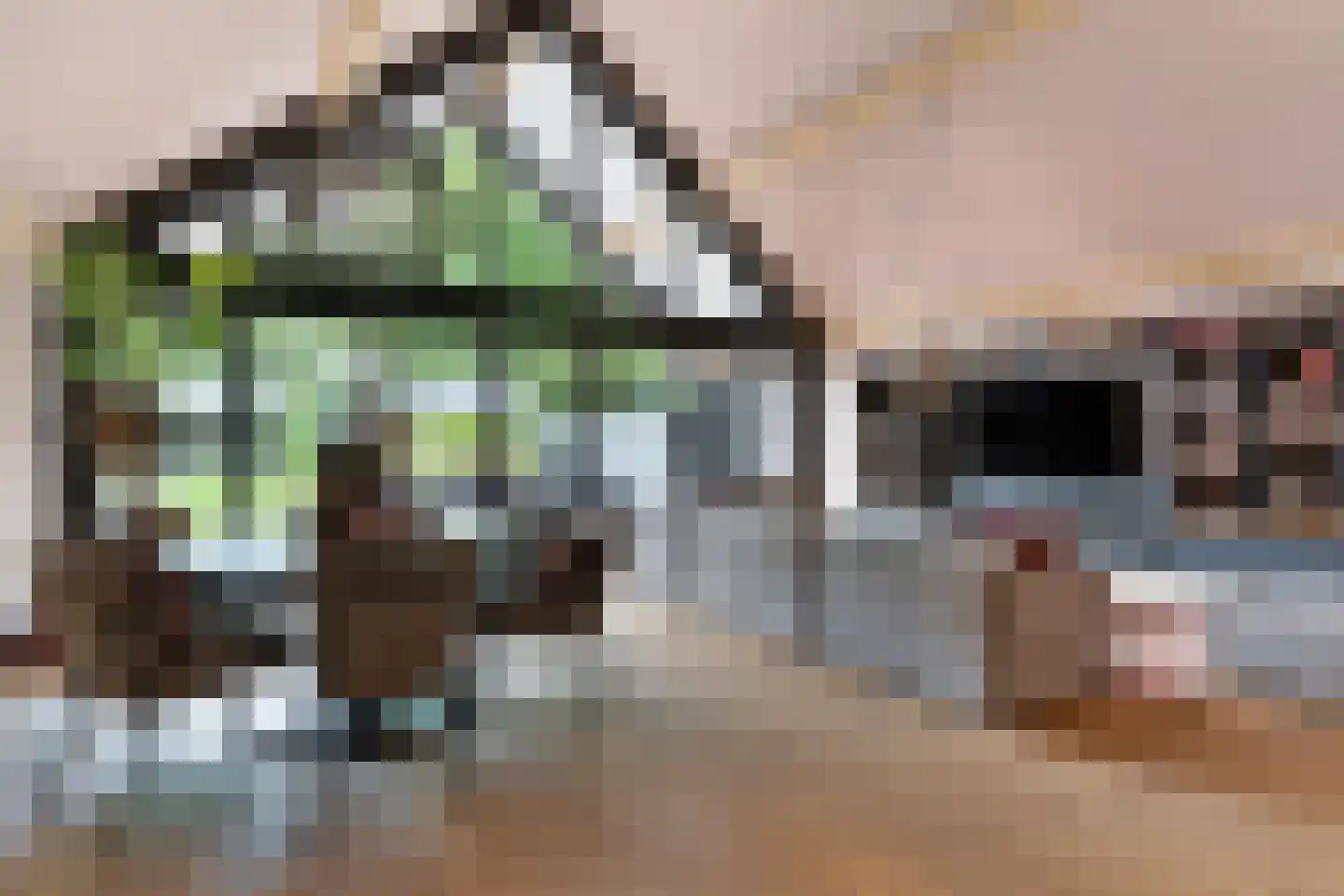 Oudestraat 61 Gemert thumbnail 21