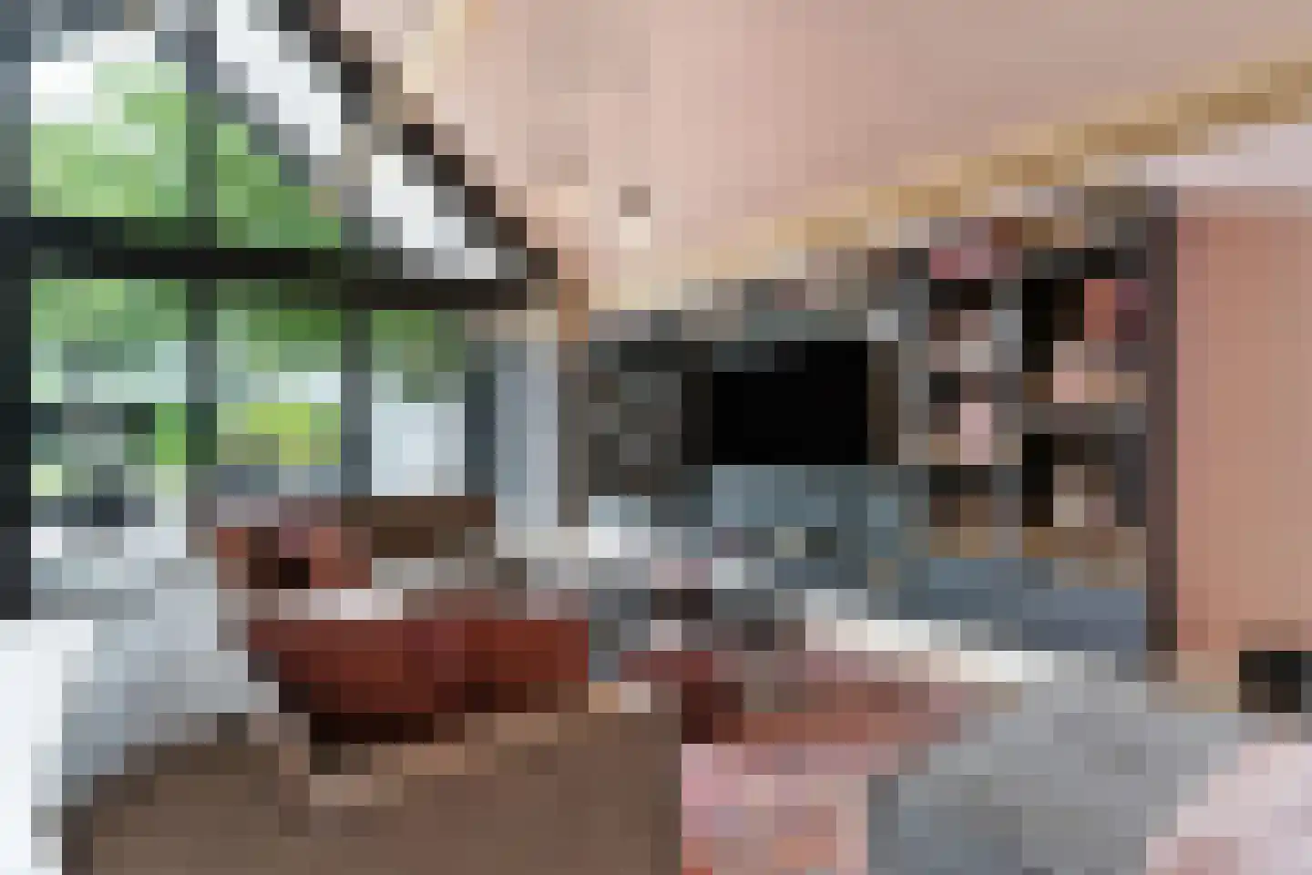 Oudestraat 61 Gemert thumbnail 22