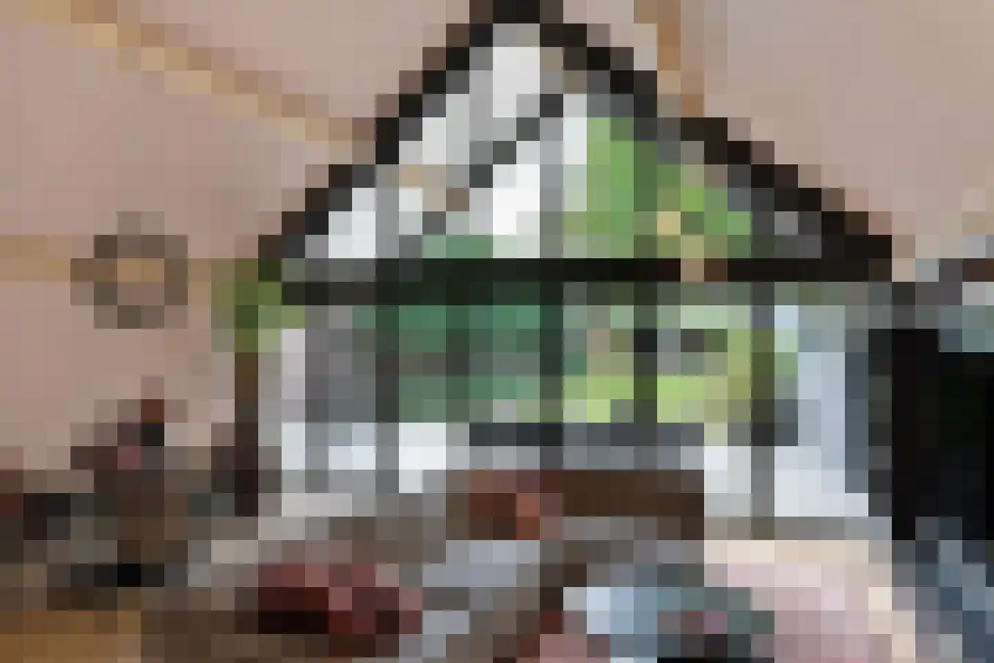 Oudestraat 61 Gemert thumbnail 23