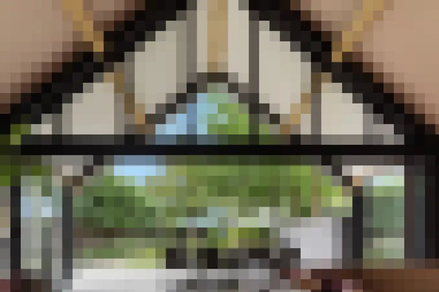 Oudestraat 61 Gemert thumbnail 25