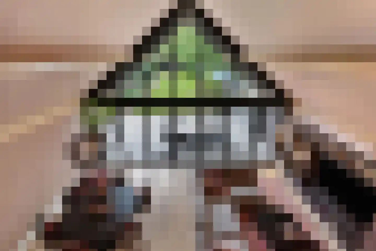 Oudestraat 61 Gemert thumbnail 26