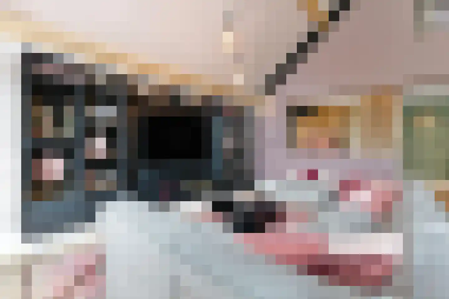 Oudestraat 61 Gemert thumbnail 27
