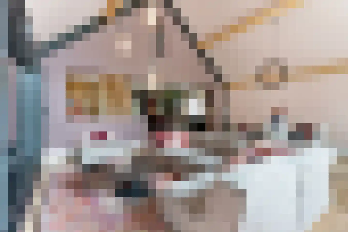 Oudestraat 61 Gemert thumbnail 28
