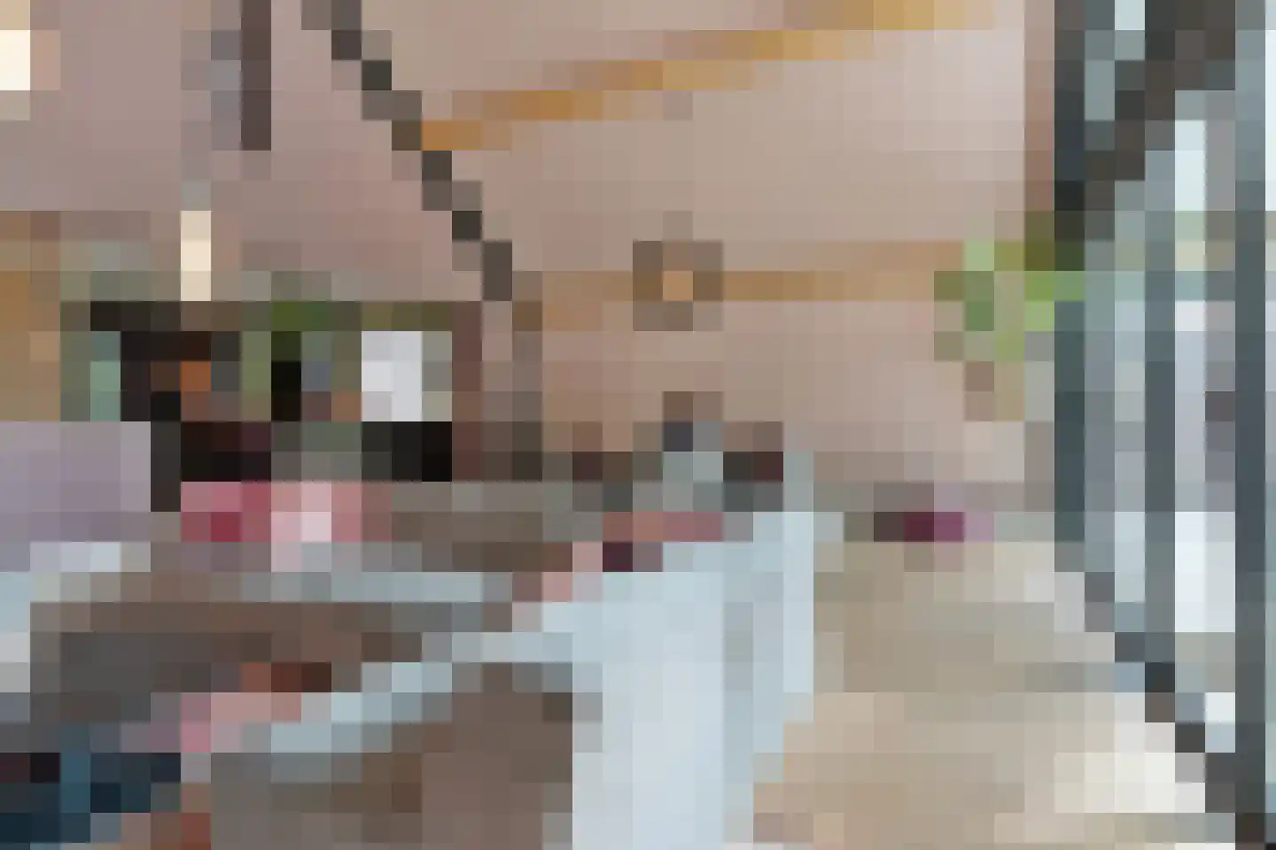 Oudestraat 61 Gemert thumbnail 29