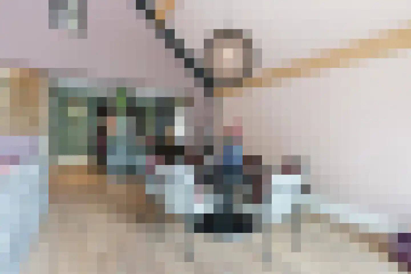 Oudestraat 61 Gemert thumbnail 30