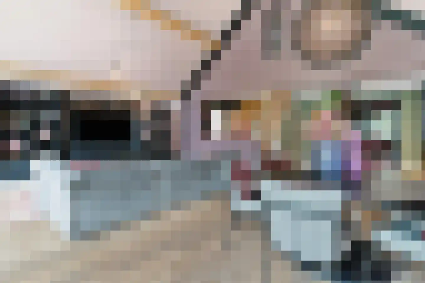 Oudestraat 61 Gemert thumbnail 31