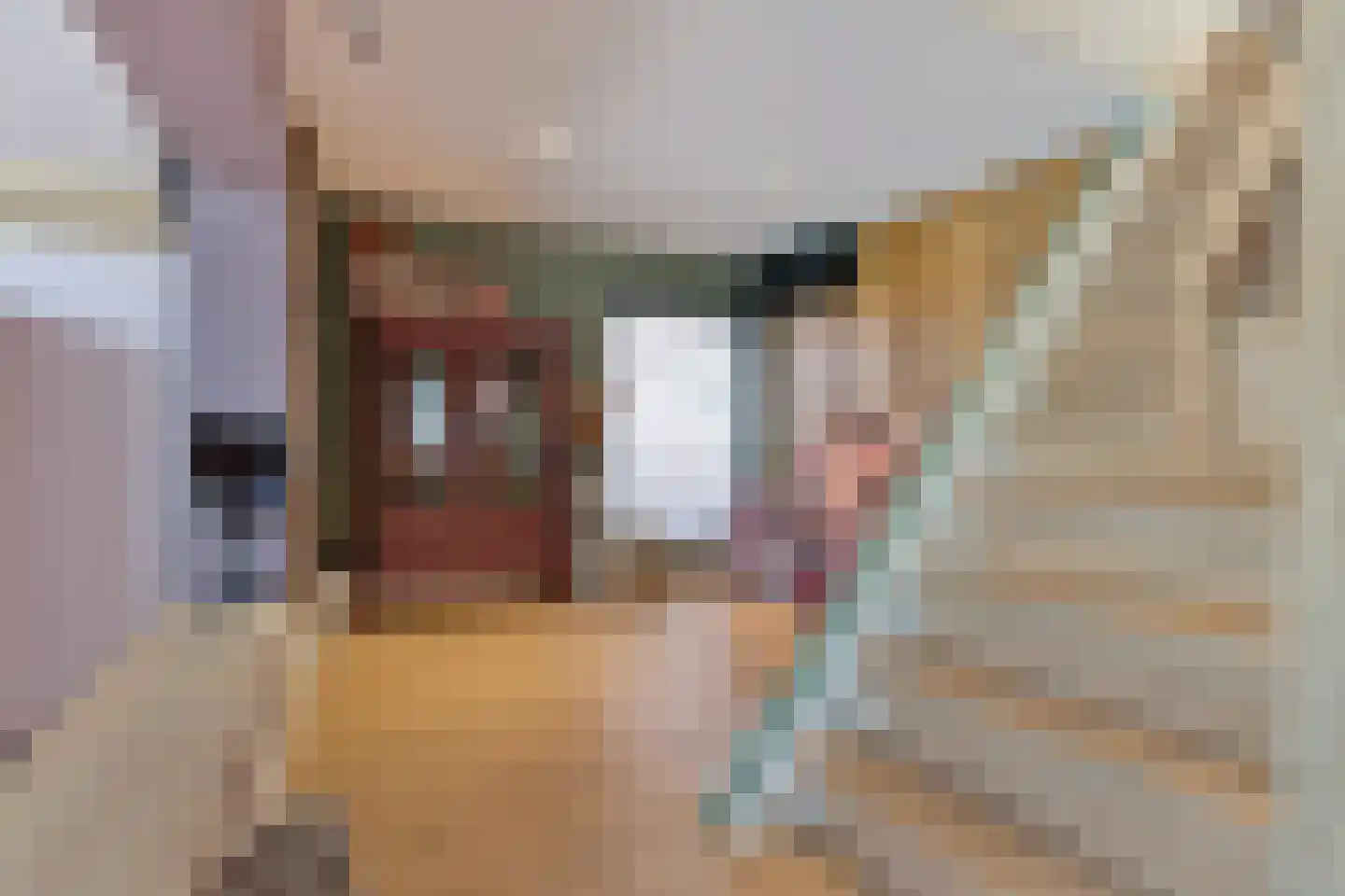 Oudestraat 61 Gemert thumbnail 32