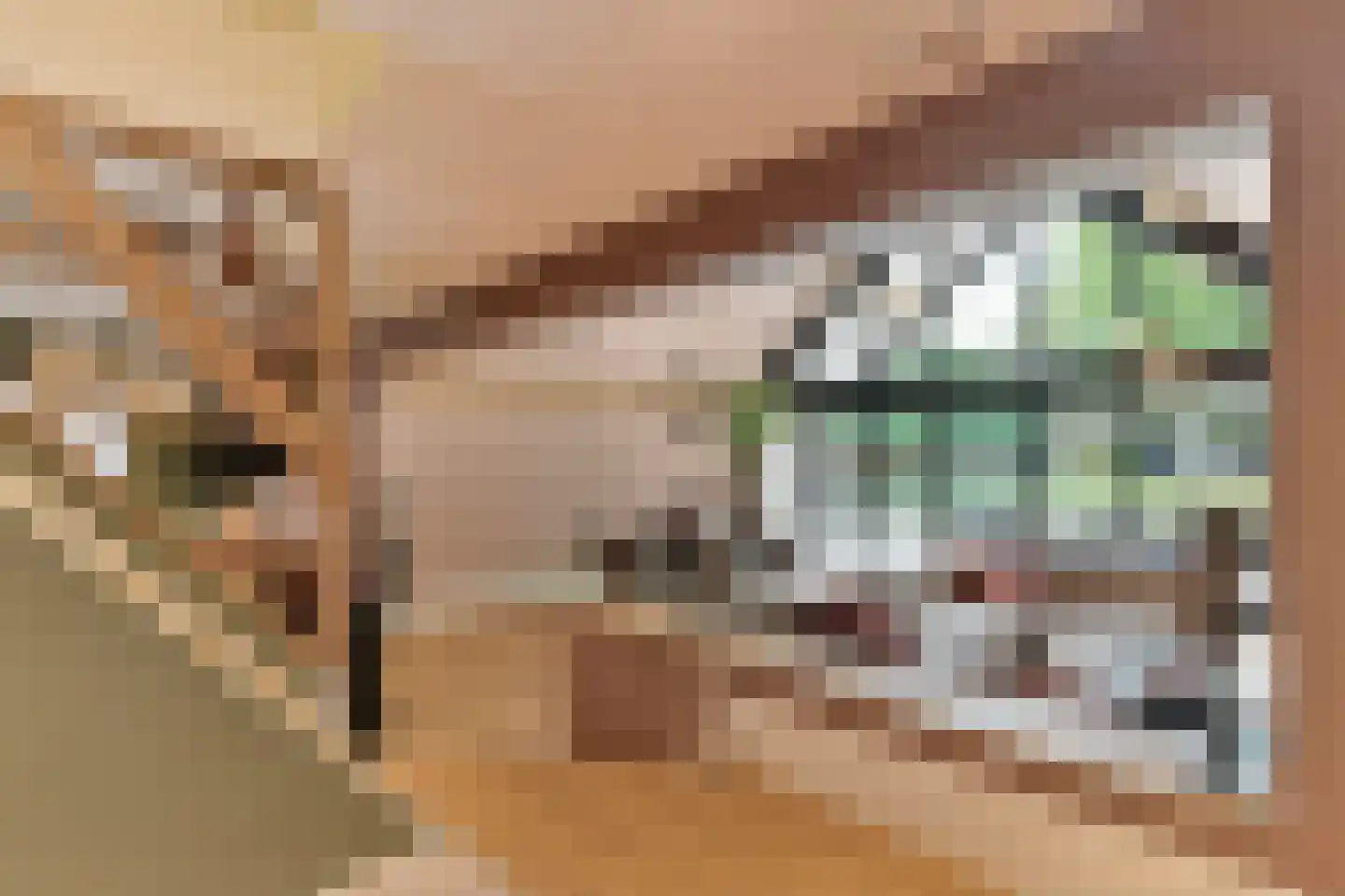 Oudestraat 61 Gemert thumbnail 33