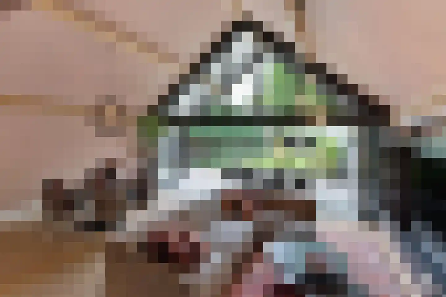 Oudestraat 61 Gemert thumbnail 4