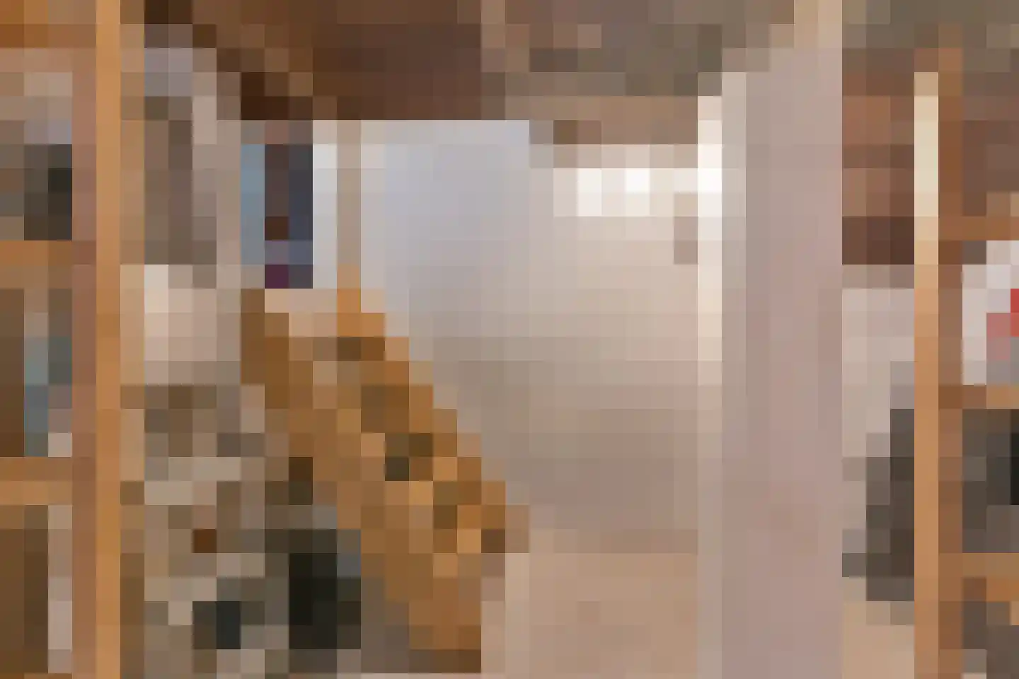Oudestraat 61 Gemert thumbnail 40