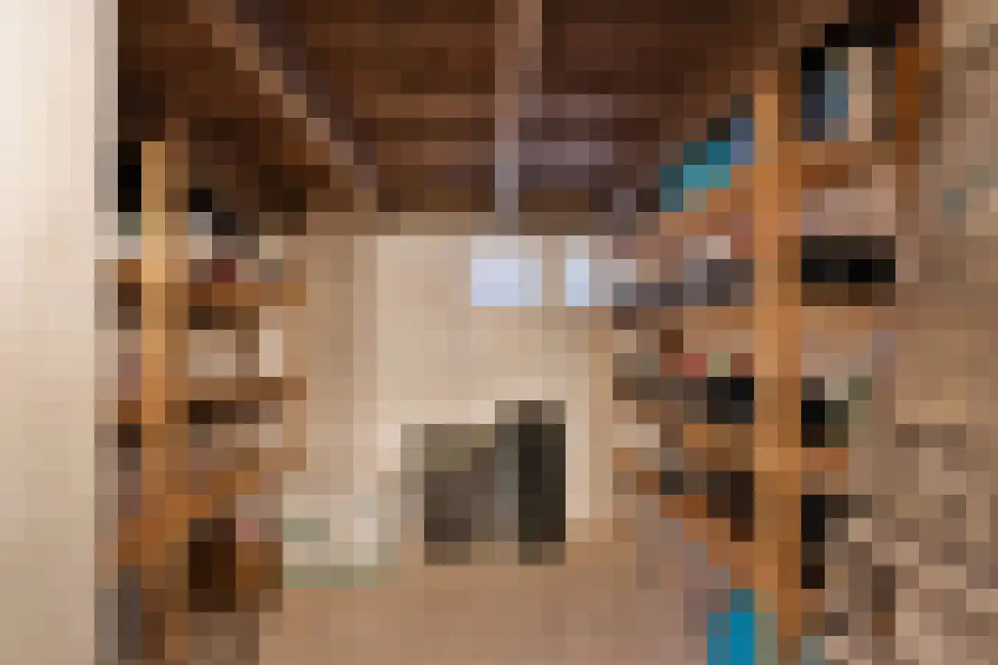 Oudestraat 61 Gemert thumbnail 41