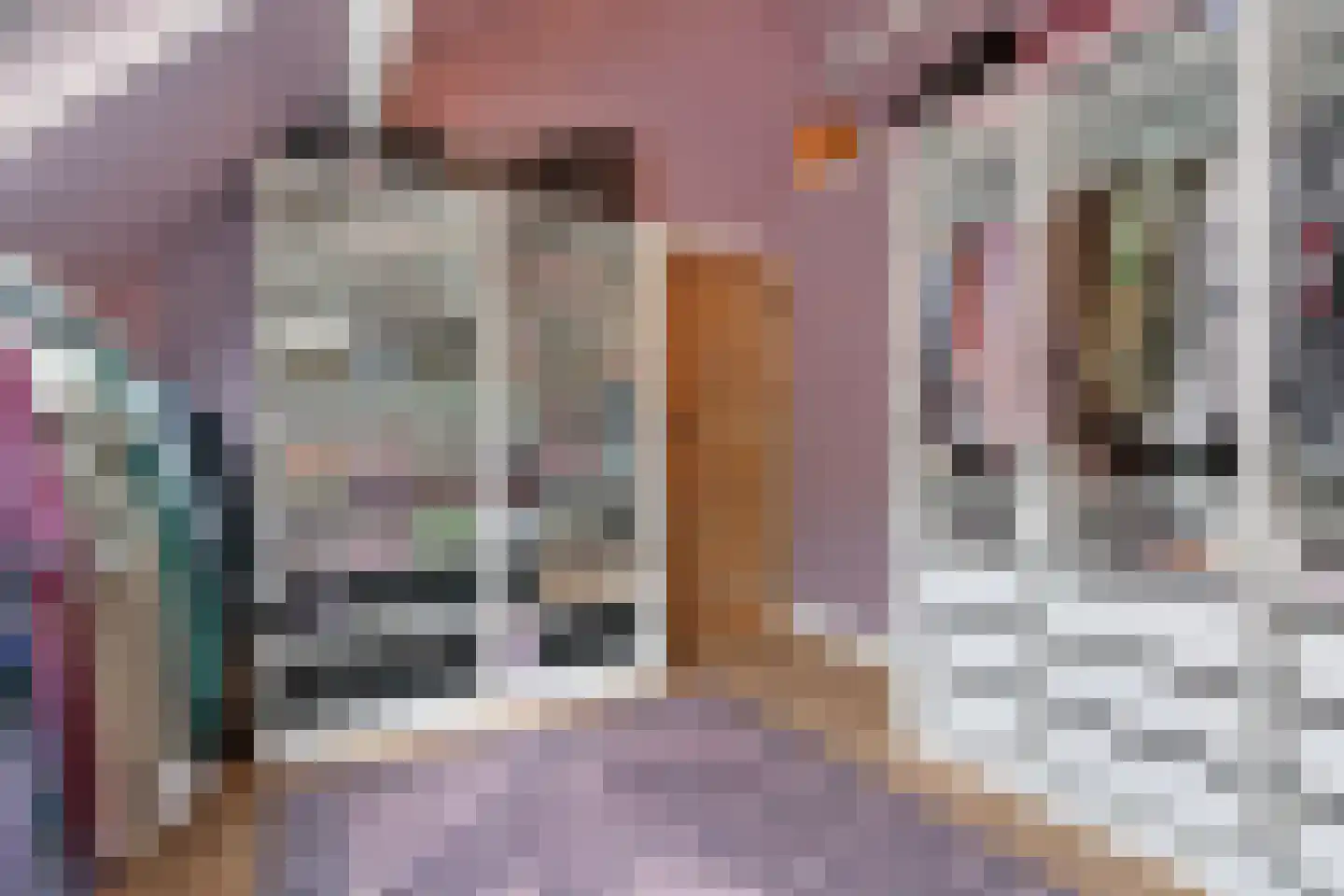 Oudestraat 61 Gemert thumbnail 47
